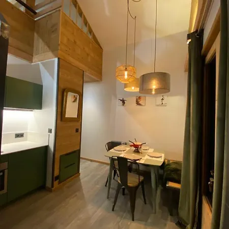 Genepi Loft Duplex 4 Personnes Apartment *
