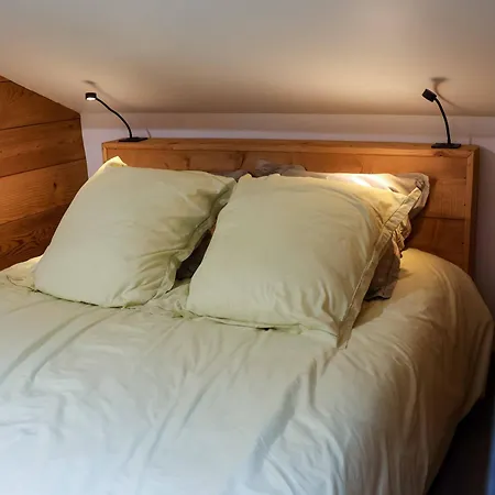 Genepi Loft Duplex 4 Personnes Lejlighed *